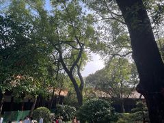 -南岳衡山风景名胜区-南岳大庙