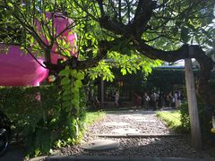 -莓园冰淇淋店