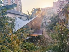 -Jo's Garden