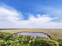 -南大港湿地风景区