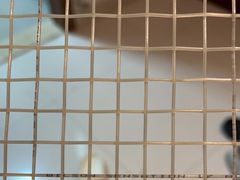 -大生体育(总店)