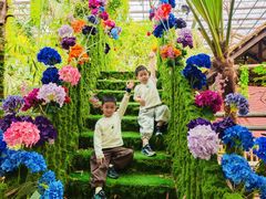 -呀路古热带植物园