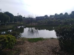 -水八仙生态园