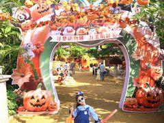 -灵玲国际马戏城