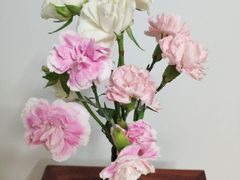 -豆豆花艺(新光天地店)