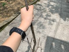 -火炉山森林公园