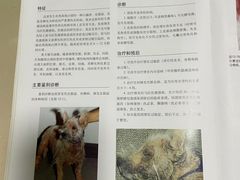-美联众合动物医院·24h转诊中心