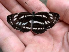 -碓臼峪自然风景区