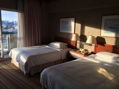 -新加坡瑞士史丹福酒店