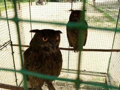 android_upload_pic-沈阳鸟岛