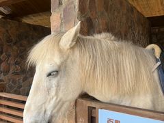 -珠海海泉湾神秘岛亲子乐园