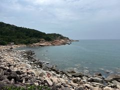 -广东惠东海龟国家级自然保护区
