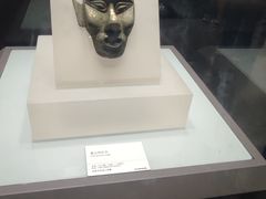 -吉林省自然博物馆