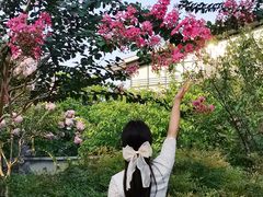 -杭州城北体育公园