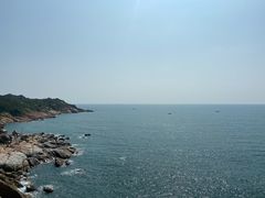 -广东惠东海龟国家级自然保护区