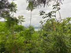 -深圳仙湖植物园
