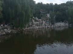 android_upload_pic-文瀛公园