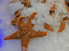 -九月海·海鲜自助(世纪东方店)
