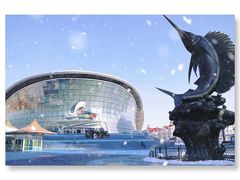 -海合安天津极地海洋公园