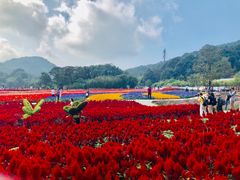 -广州市石门国家森林公园