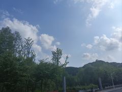 -掌上鲜(南顺城街店)