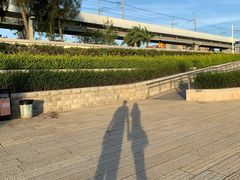 -宝安西湾红树林湿地公园