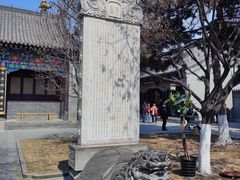 -护国法轮寺