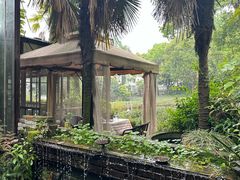 -野蔓果·山野菜(西湖景区·龙井茶田店)