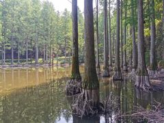 -波尔登森林公园
