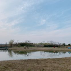 点击看大图 -水八仙生态园