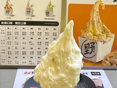 -野人先生现做冰淇淋(北京悠唐购物中心店)