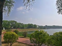 -丁香湖公园