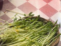 -赵美丽·重庆社区火锅·直营店(火车东站·中豪国际店)