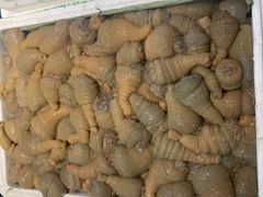 -拉完海鲜大排档(温岭店)