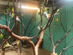 -上海大自然野生昆虫馆(东方明珠·爬宠昆虫探索中心)