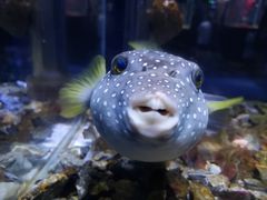 -海合安天津极地海洋公园