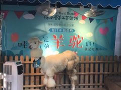 -佟小曼手工茶饼坊(鼓浪屿1店)