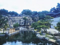 -中国唐苑
