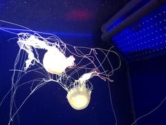 -台州海洋世界