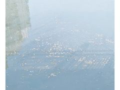 -西北湖绿化广场