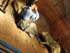 -陕西自然博物馆