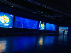 -重庆欢乐海底世界