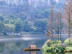 -重庆彩云湖湿地公园