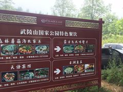 -武陵山森林公园