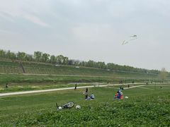 -洨河生态公园