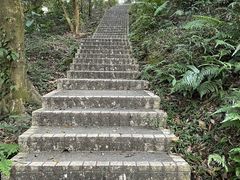 -广州市帽峰山景区