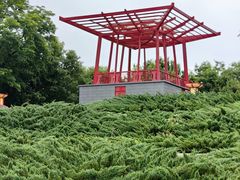 -大望京公园