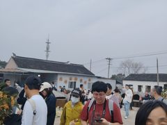 -苏州市吴中区光福窑上花果蜜饯厂