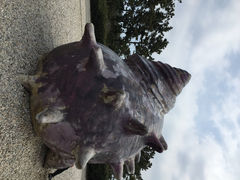 iphone_upload_pic-柱状节理带