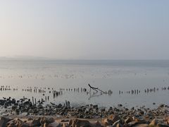 -深圳湾公园(南山区)